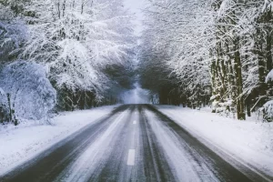 A Straight Road Leading off into the Trees on a Snowy Day